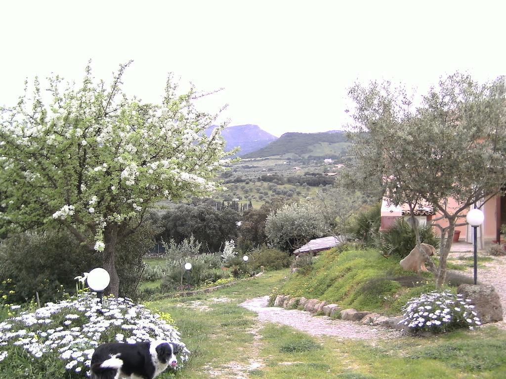 ألغيرو B&B Valli Verdi المظهر الخارجي الصورة