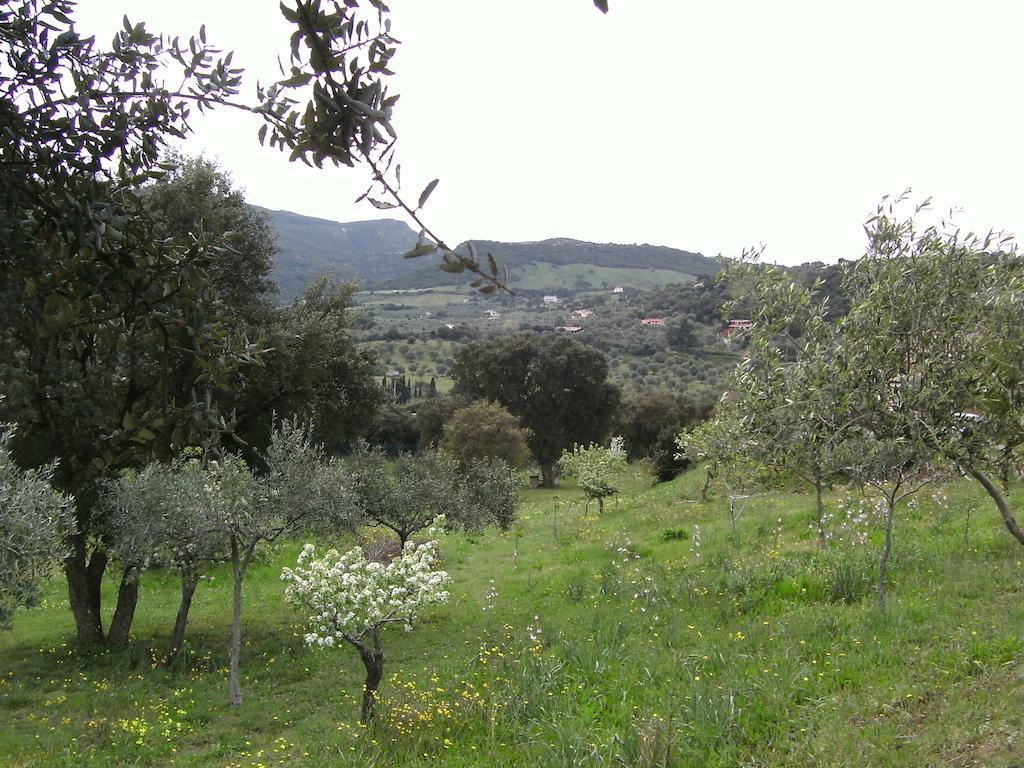 ألغيرو B&B Valli Verdi المظهر الخارجي الصورة